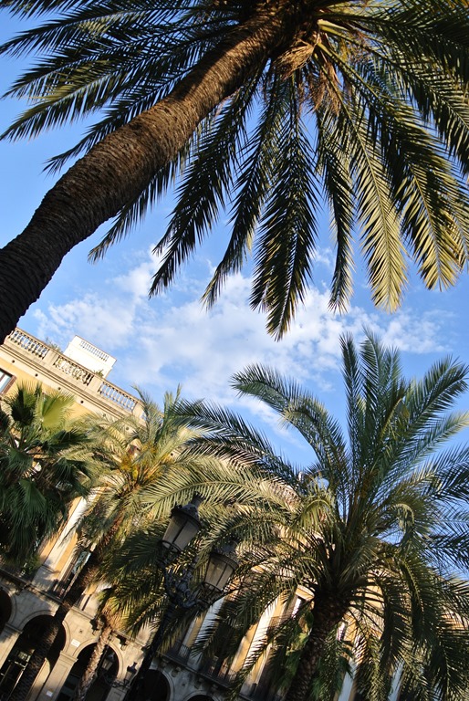 [DSC_3828%255B3%255D.jpg]