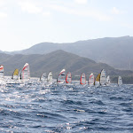 IMG_2879.JPG