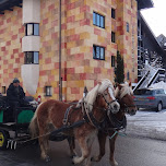 horses and carriage in Seefeld, Austria 