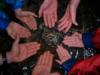 WS DSCN0211.JPG