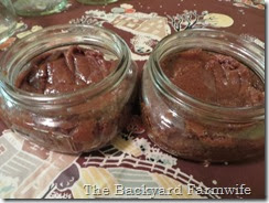 Spiced Cookie Butter - The Backyard Farmwife