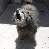 Manul�n