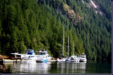 IMG_1356 IMG_1356