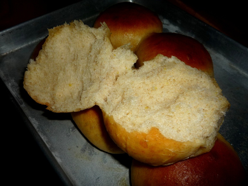 [P11308607.jpg]