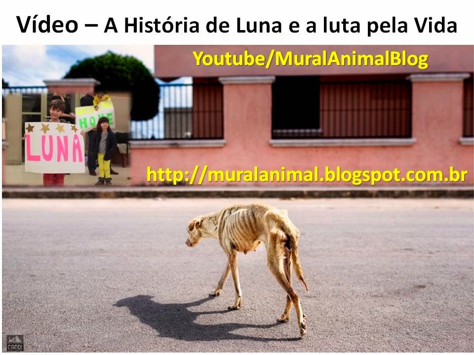 [Luna%255B3%255D.jpg]