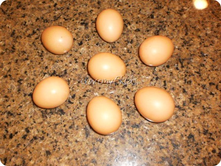 Brown Eggs