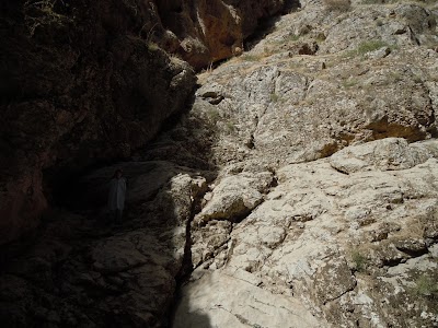 DSCN3926.jpg