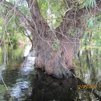 IMG_7816.JPG