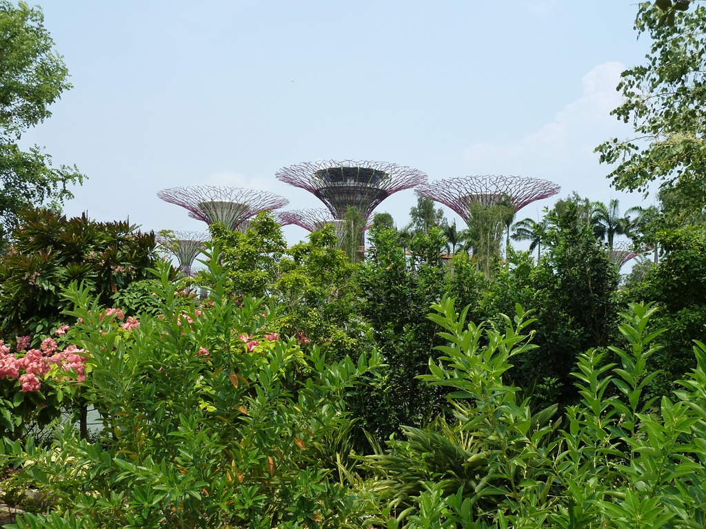 [Singapore-Gardens-by-the-Bay-23-Sept%255B7%255D.jpg]