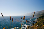 _MG_3277
