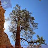 Kasha Katuwe Tent Rock NP - Santa Fé, AZ