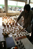 5010_1627.jpg