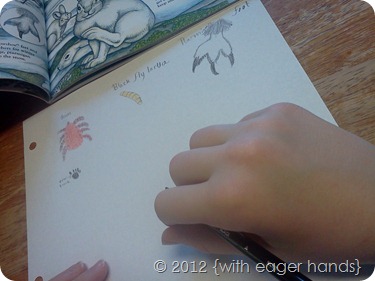 IMG_20120717_104735