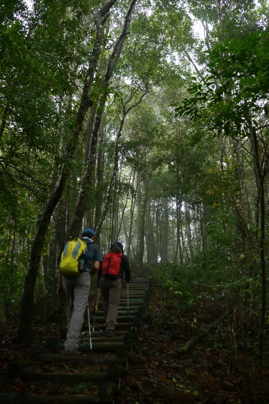 2013_0413 橫嶺山木馬古道_010