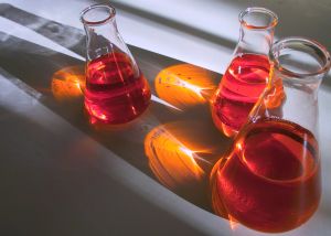 laboratory_flasks_1.jpg