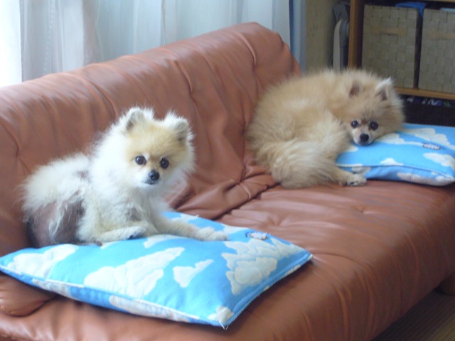 [2009.265.jpg]