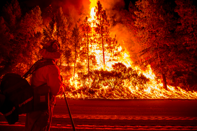 The 'King Fire' in Northern California burned more than 97,000 acres of land in El Dorado County, California, from mid-September to mid-October 2014. Photo: Reuters
