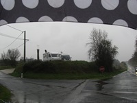 IMG_3181 IMG_3181