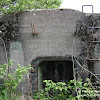 dsc06581.jpg