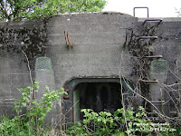 dsc06581.jpg