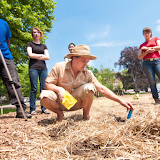 5.26.11 Tree planting
