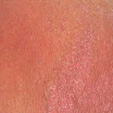 DSCN0729.JPG