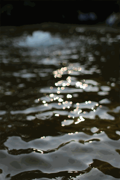 [pond%255B2%255D.gif]