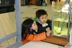 IMG_3099 IMG_3099