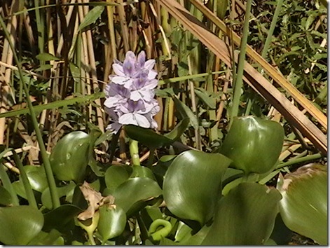 IMGA0660 IMGA0660
