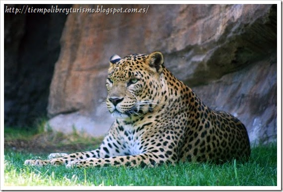 IMG_0089 IMG_0089