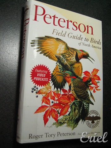 [gG%2520080%255B7%255D.jpg]