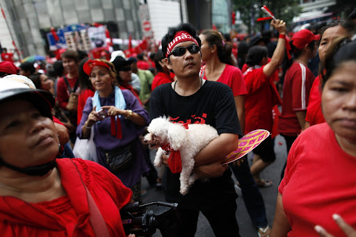 An anti-government &#39;&#39;red