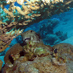 IMG_9608.JPG