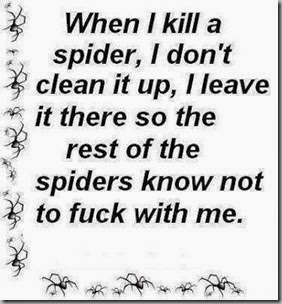 when I kill a spider