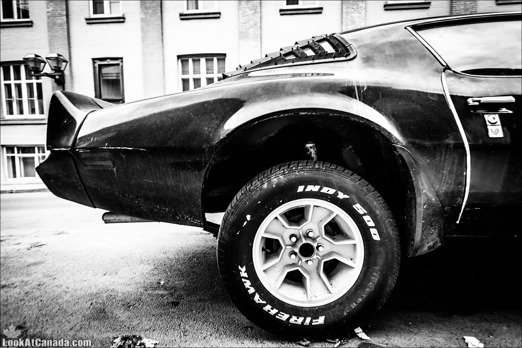 LookAtCanada.com / Авто