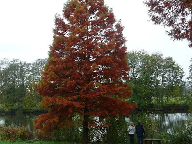 Cliveden, River Thames