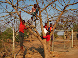 South Africa - 016.JPG