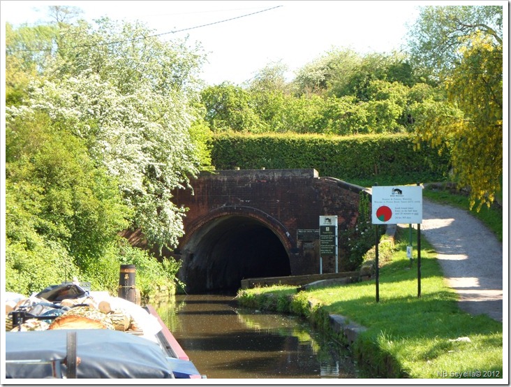 SAM_0330 PB Tunnel