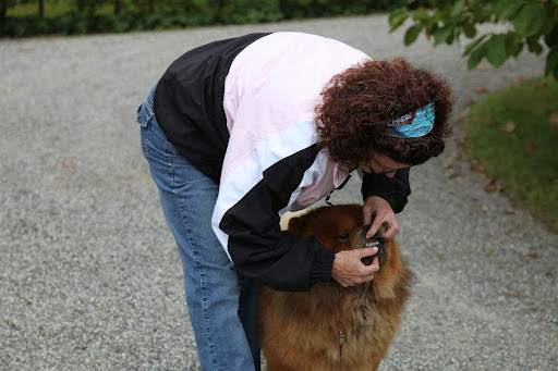 The judges look at not only overall appearance, but also individual characteristics, like my teeth.  A show dog must be very comfortable with smiling!