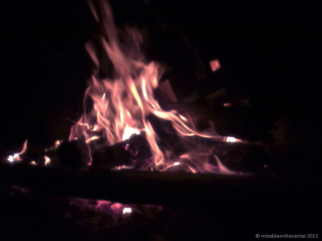 [03122011625%255B4%255D.jpg]