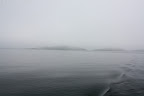 Fog slows us down
