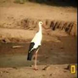 [clip_image003%255B6%255D.jpg]