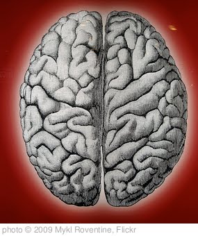 '255/365 I've got the brain of a four year old. I'll bet he was glad to be rid of it.' photo (c) 2009, Mykl Roventine - license: http://creativecommons.org/licenses/by/2.0/