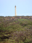 DSC01574.JPG