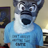 cant_arrest_anyting_this_cute.jpg