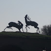[IMG_1764.jpg]