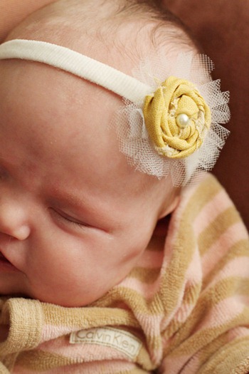 rosette headband