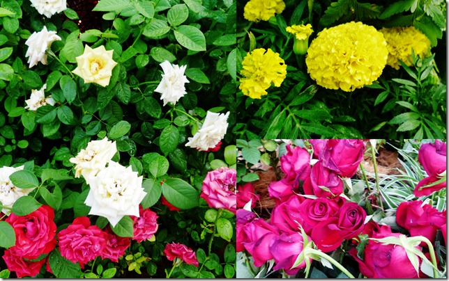 Floria dan Ayah1 Floria dan Ayah1