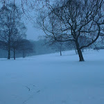 IMAG0207.jpg