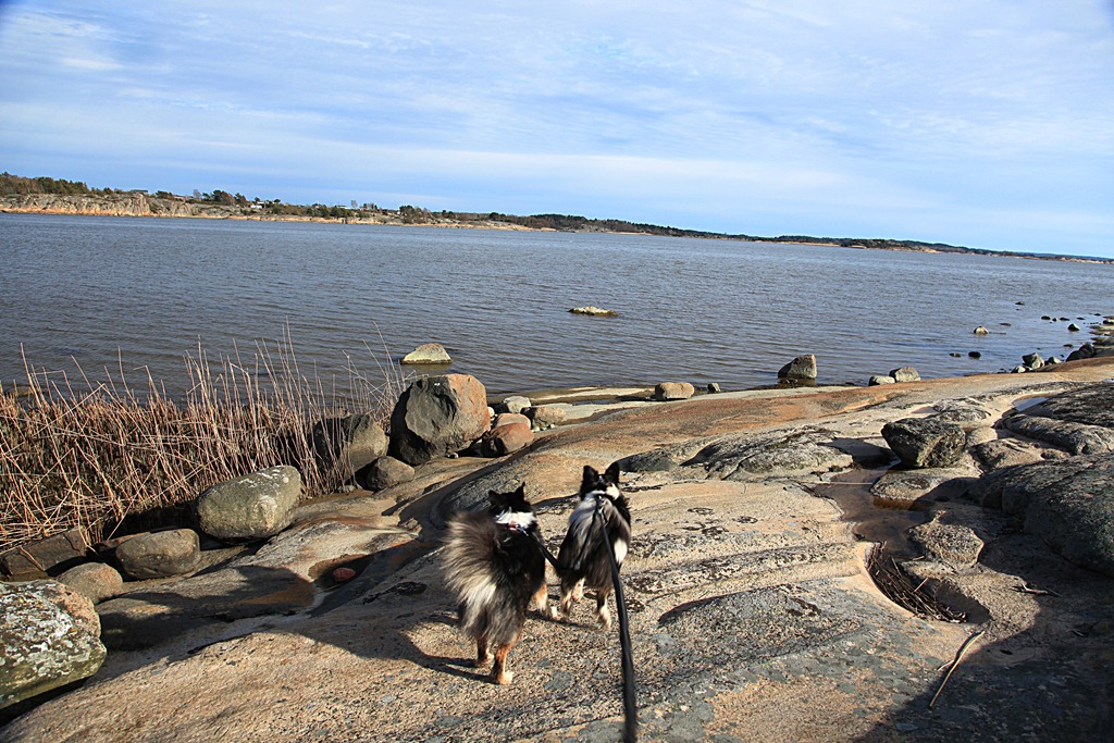 [28apr2012_Jentene%2520p%25C3%25A5%2520Pernestangen_9695%255B5%255D.jpg]